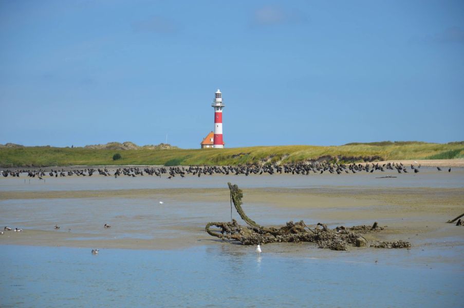 Nieuwpoort van haar fijnste kant