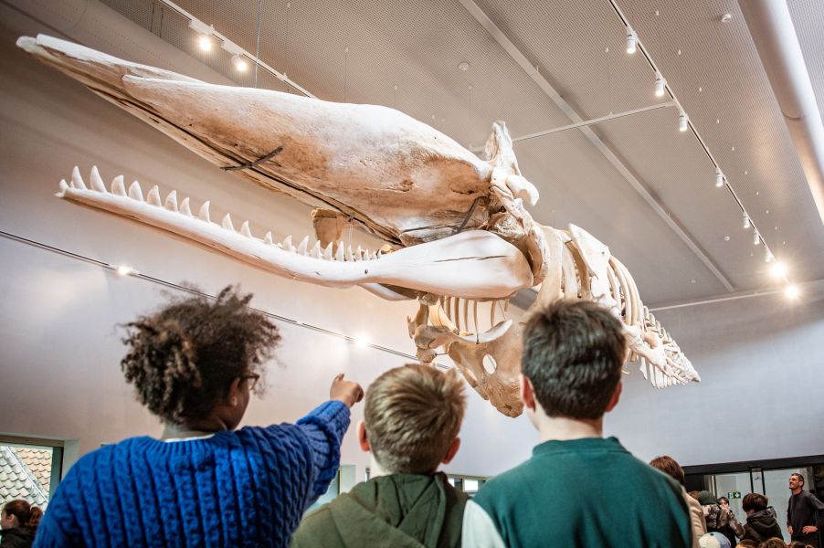 Visite du port en bateau et visite de musée de pêche Navigo